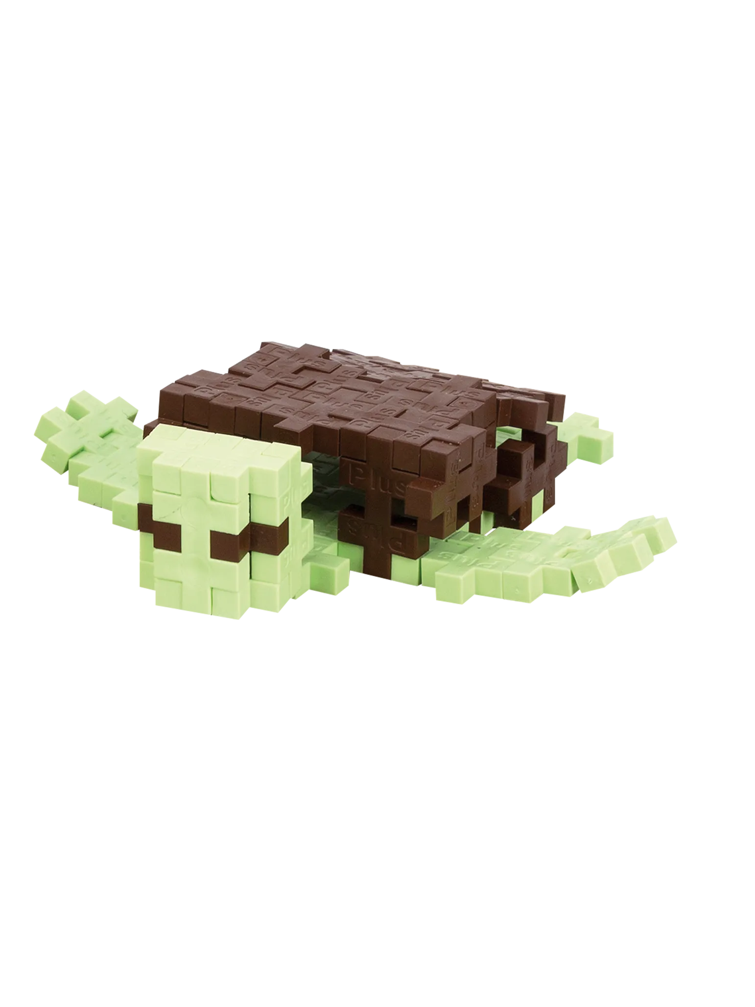 Havskildpadde